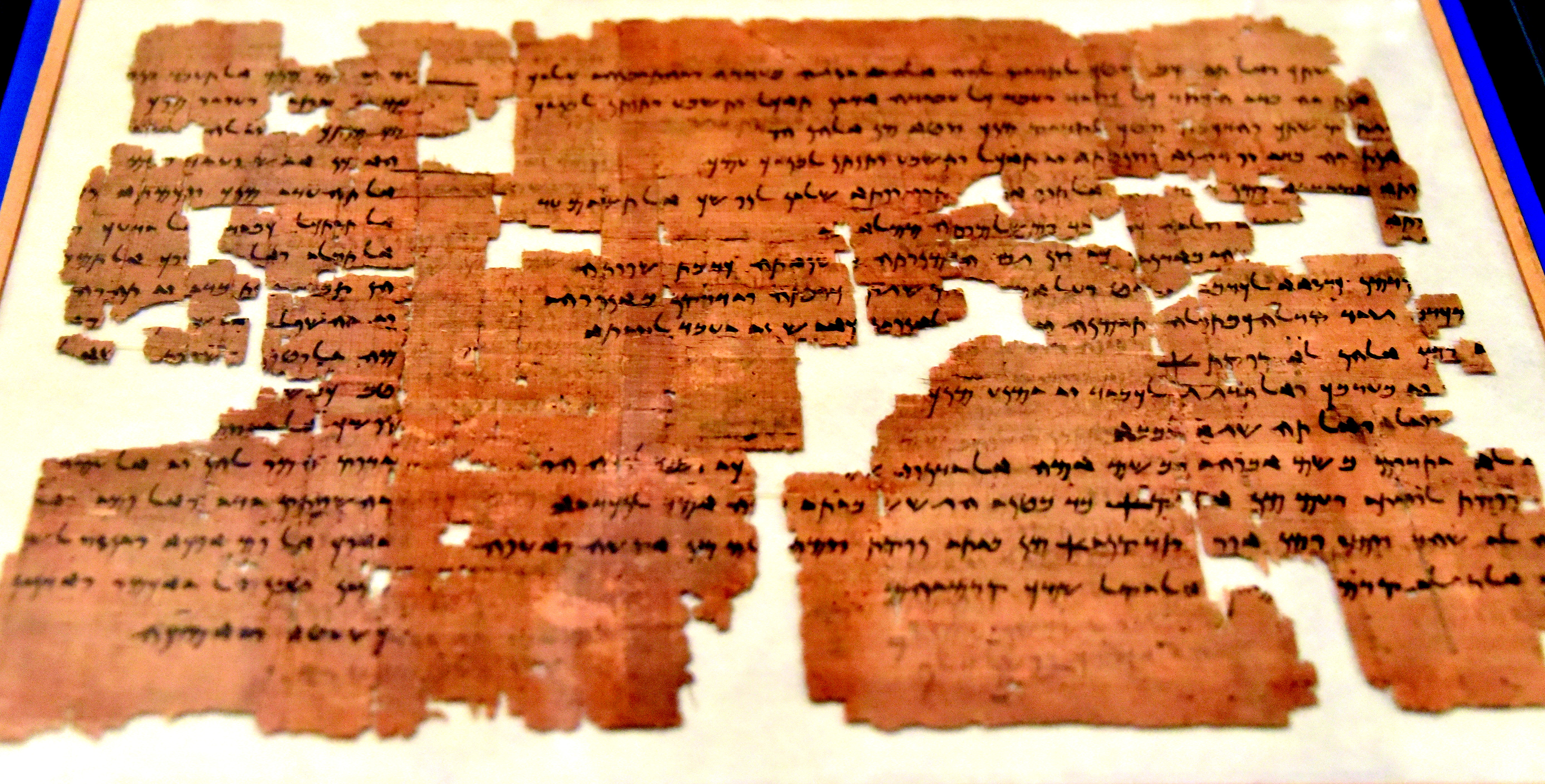 The Elephantine Papyri (Yedaniah Archive)