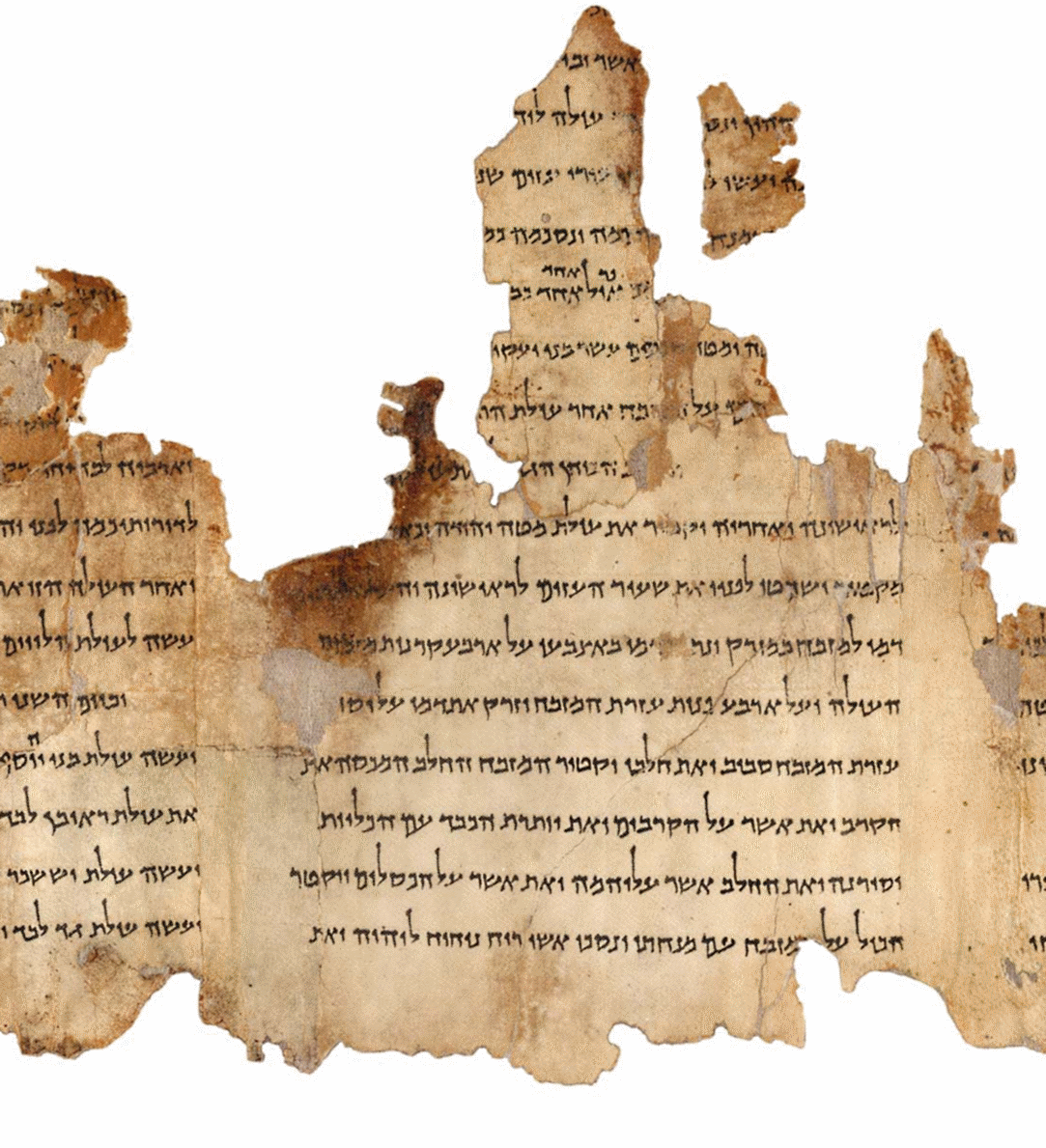 Temple Scroll (11Q19)