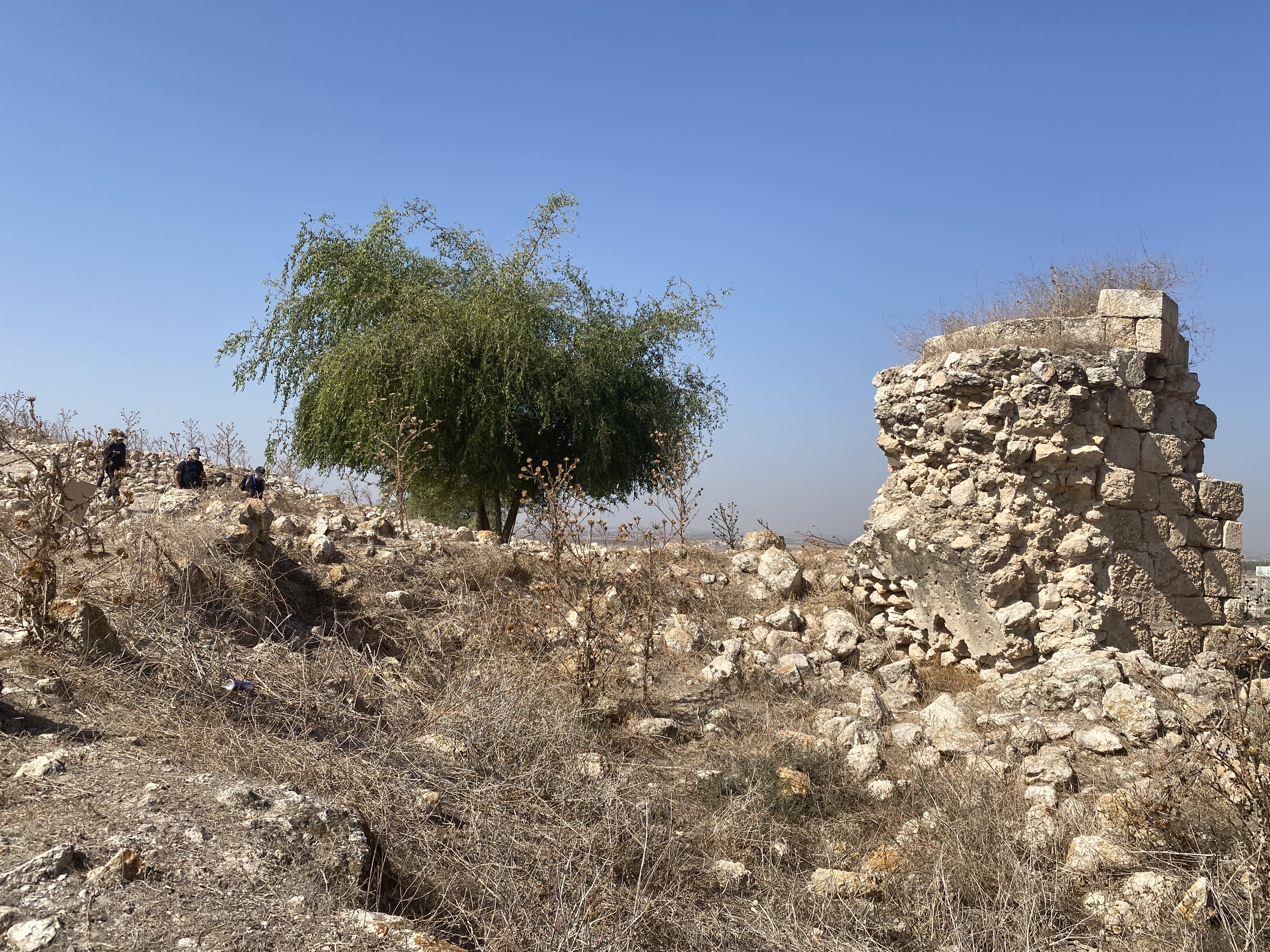Gath of the Philistines (Tell es-Safi)